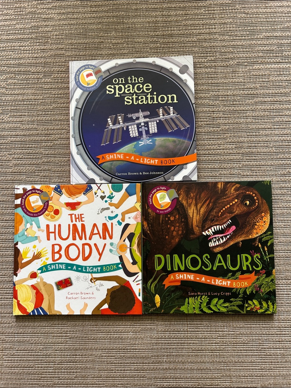 Shine-a-Light Children's Book Set